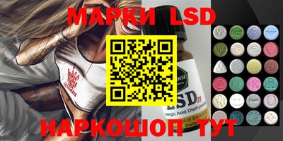 дживик Моздок