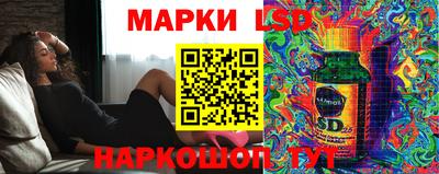 дживик Моздок