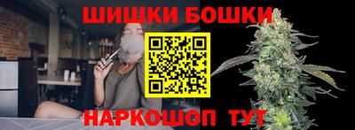 дживик Моздок