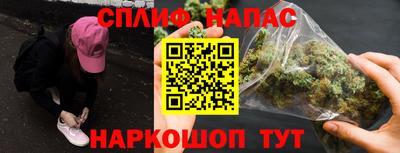 дживик Моздок