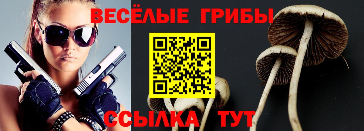 Галлюциногенные грибы Psilocybe Туапсе